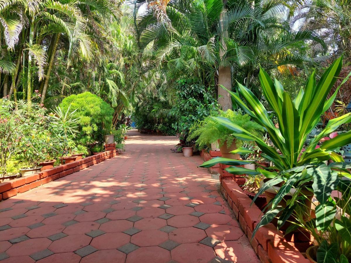 Palm Grove Cottages - Leisure Resort 比纳里姆 外观 照片