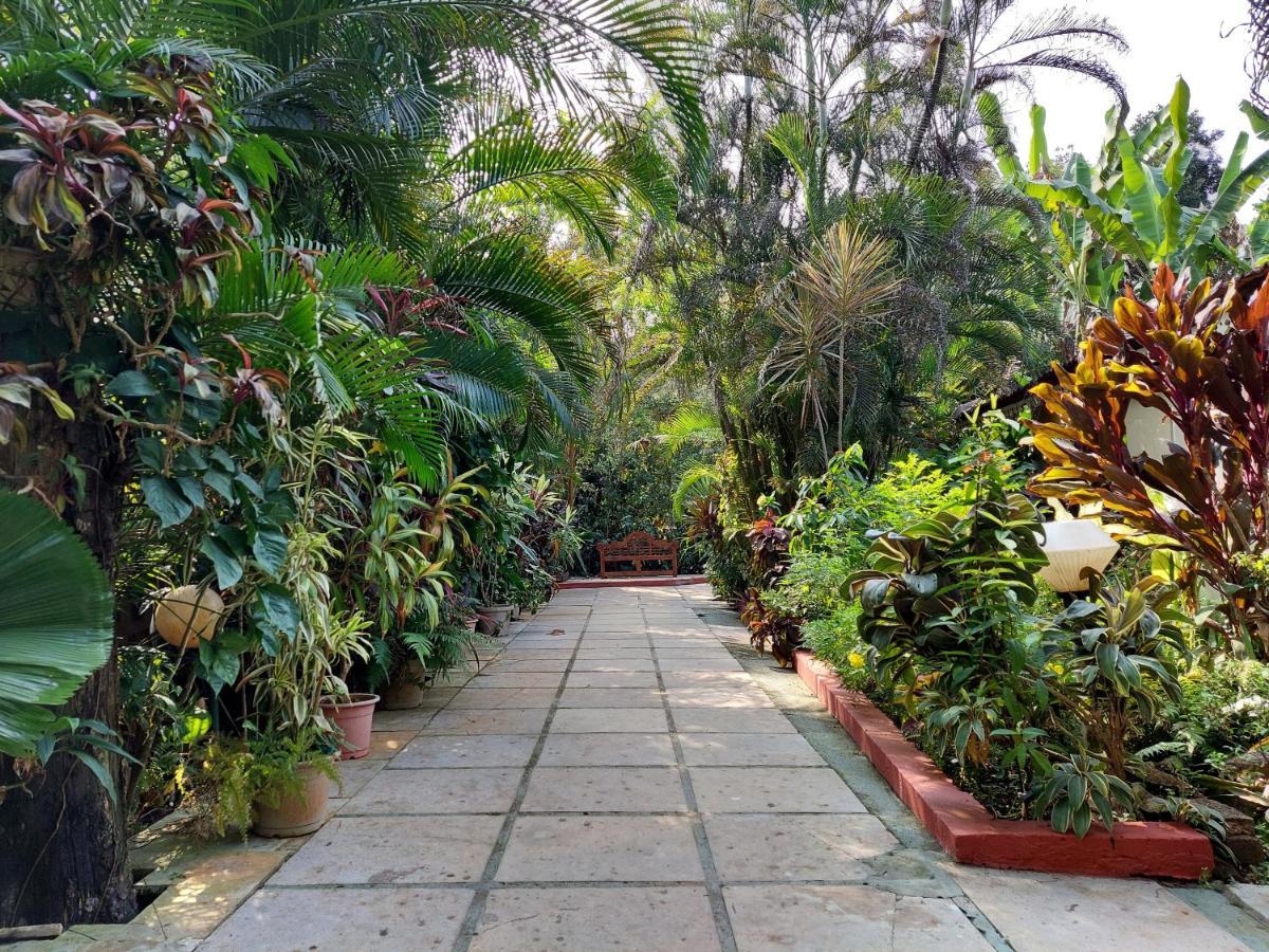 Palm Grove Cottages - Leisure Resort 比纳里姆 外观 照片