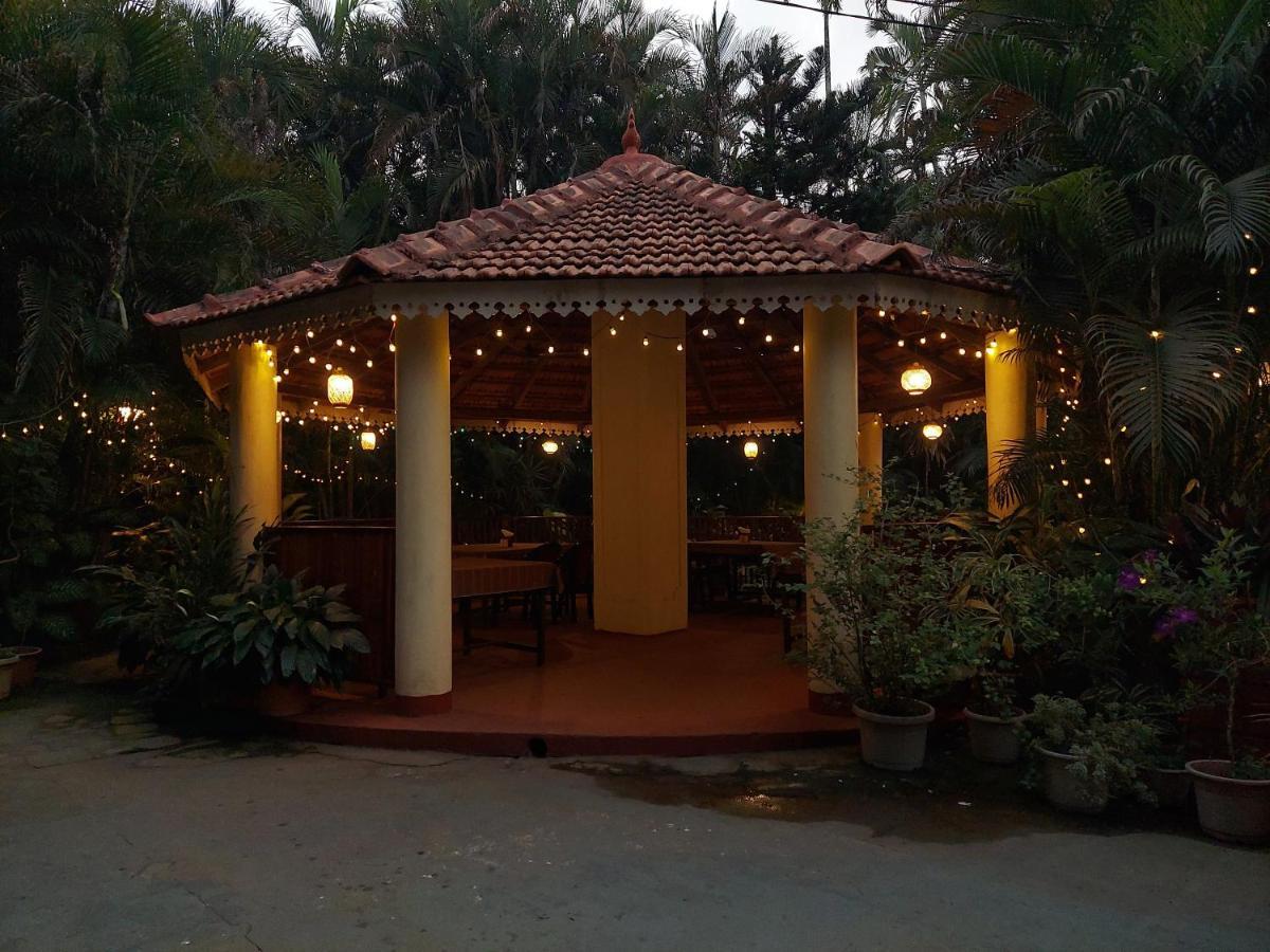 Palm Grove Cottages - Leisure Resort 比纳里姆 外观 照片