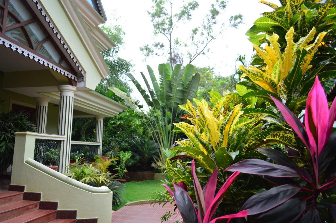 Palm Grove Cottages - Leisure Resort 比纳里姆 外观 照片