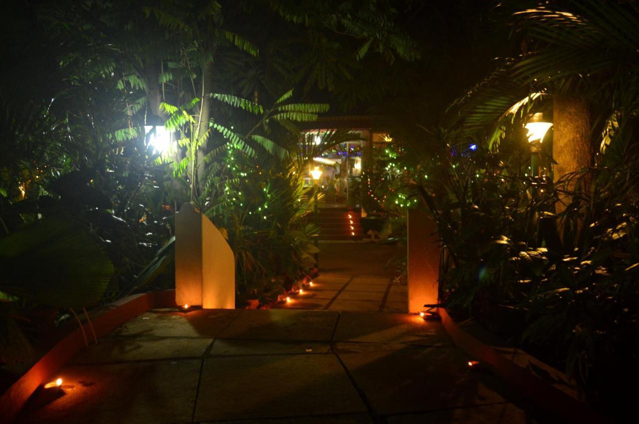 Palm Grove Cottages - Leisure Resort 比纳里姆 外观 照片