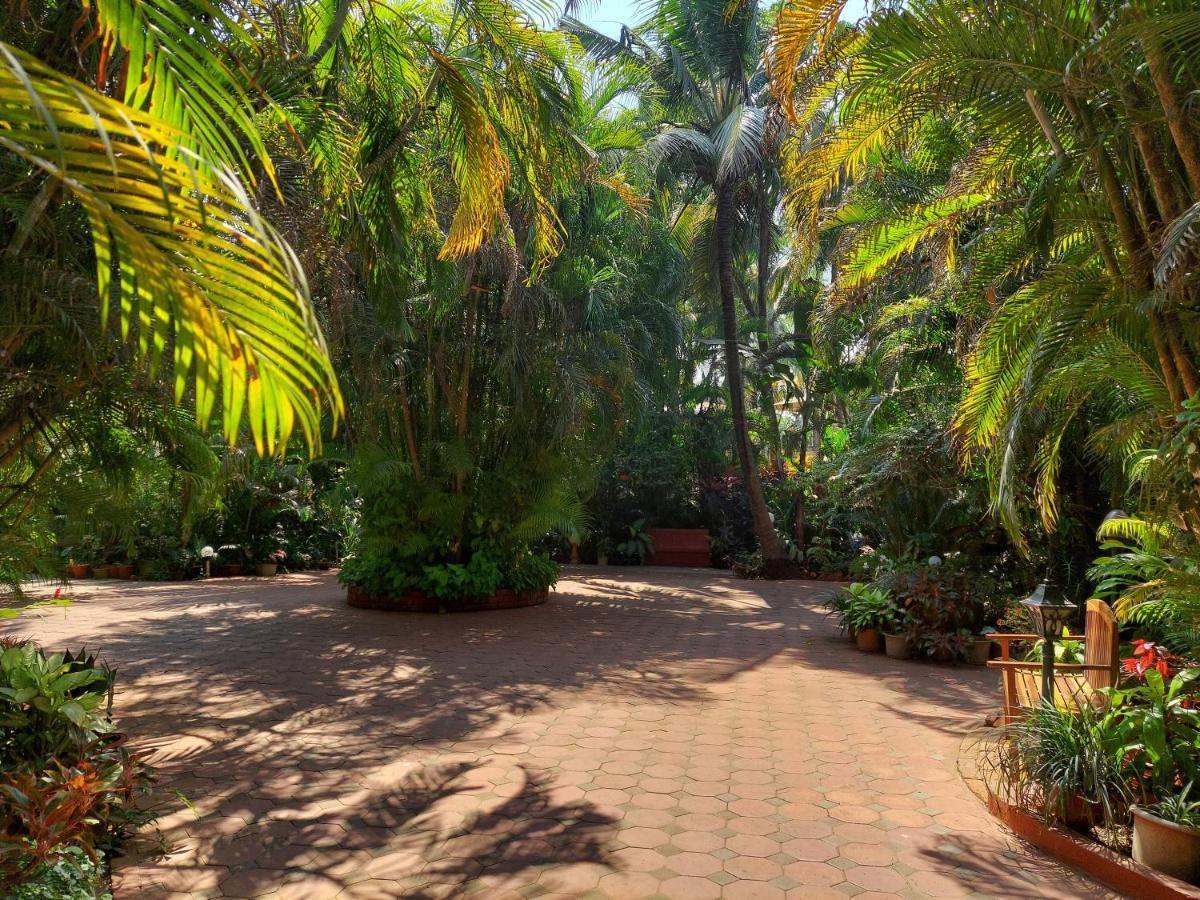 Palm Grove Cottages - Leisure Resort 比纳里姆 外观 照片