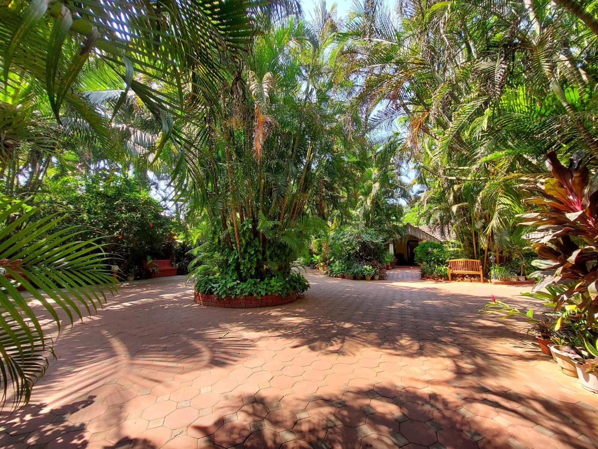 Palm Grove Cottages - Leisure Resort 比纳里姆 外观 照片