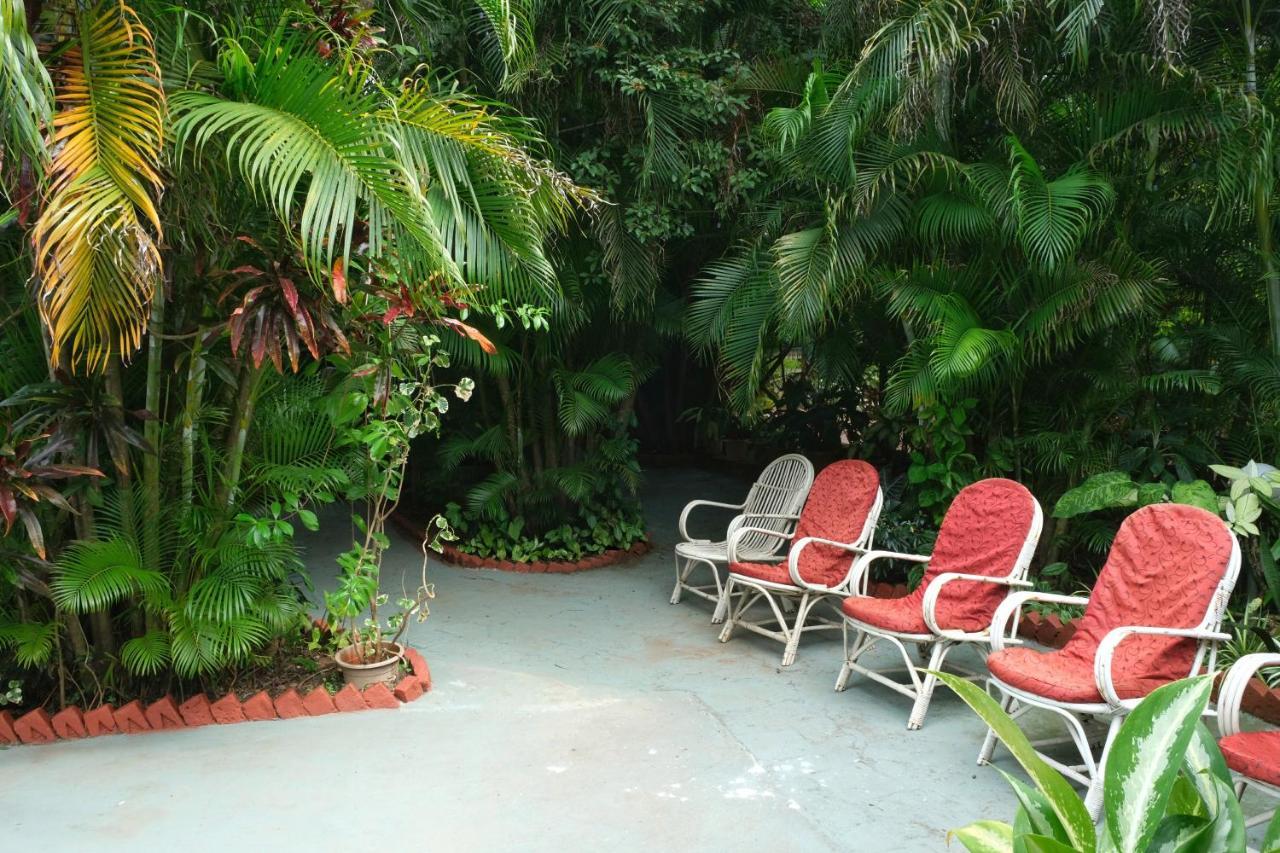 Palm Grove Cottages - Leisure Resort 比纳里姆 外观 照片