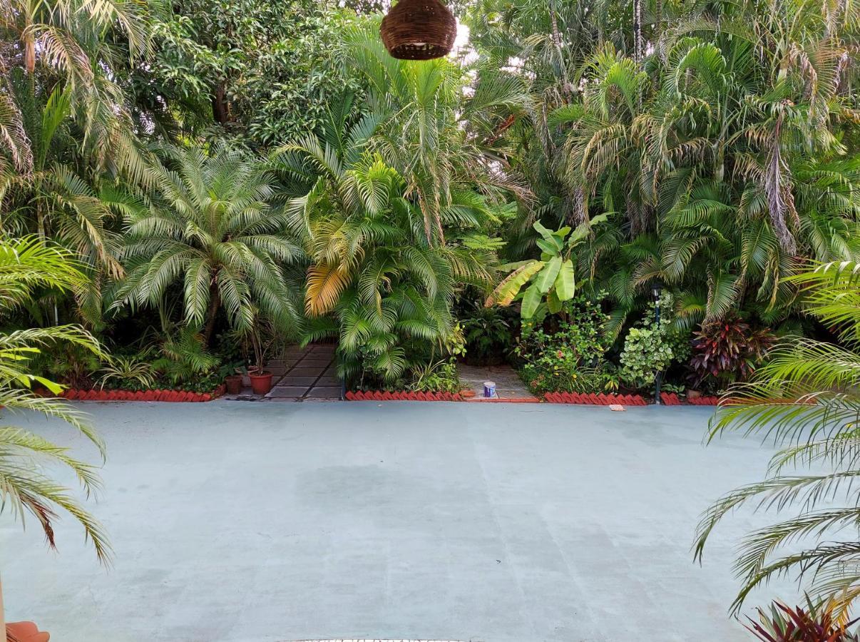 Palm Grove Cottages - Leisure Resort 比纳里姆 外观 照片