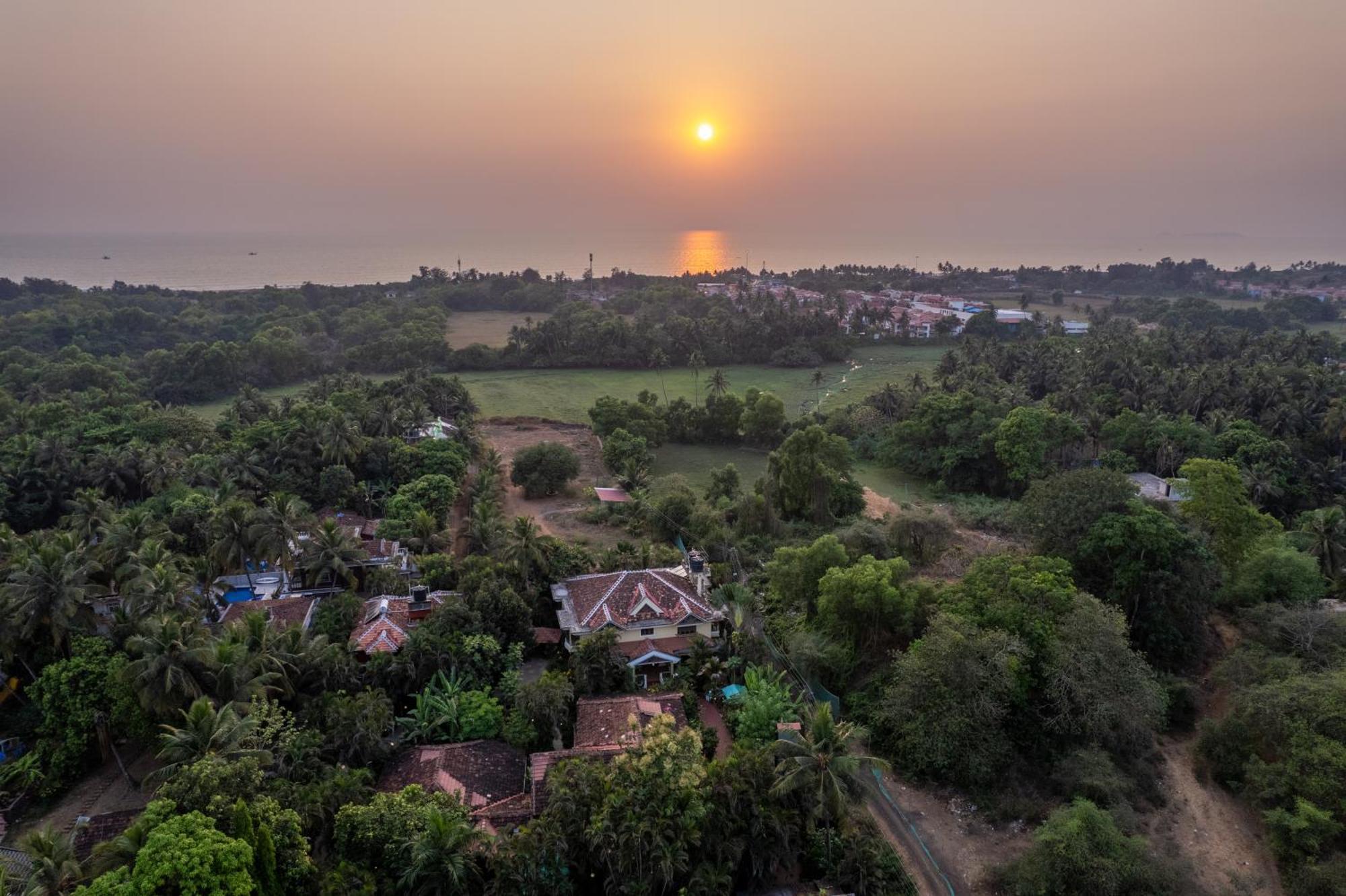 Palm Grove Cottages - Leisure Resort 比纳里姆 外观 照片