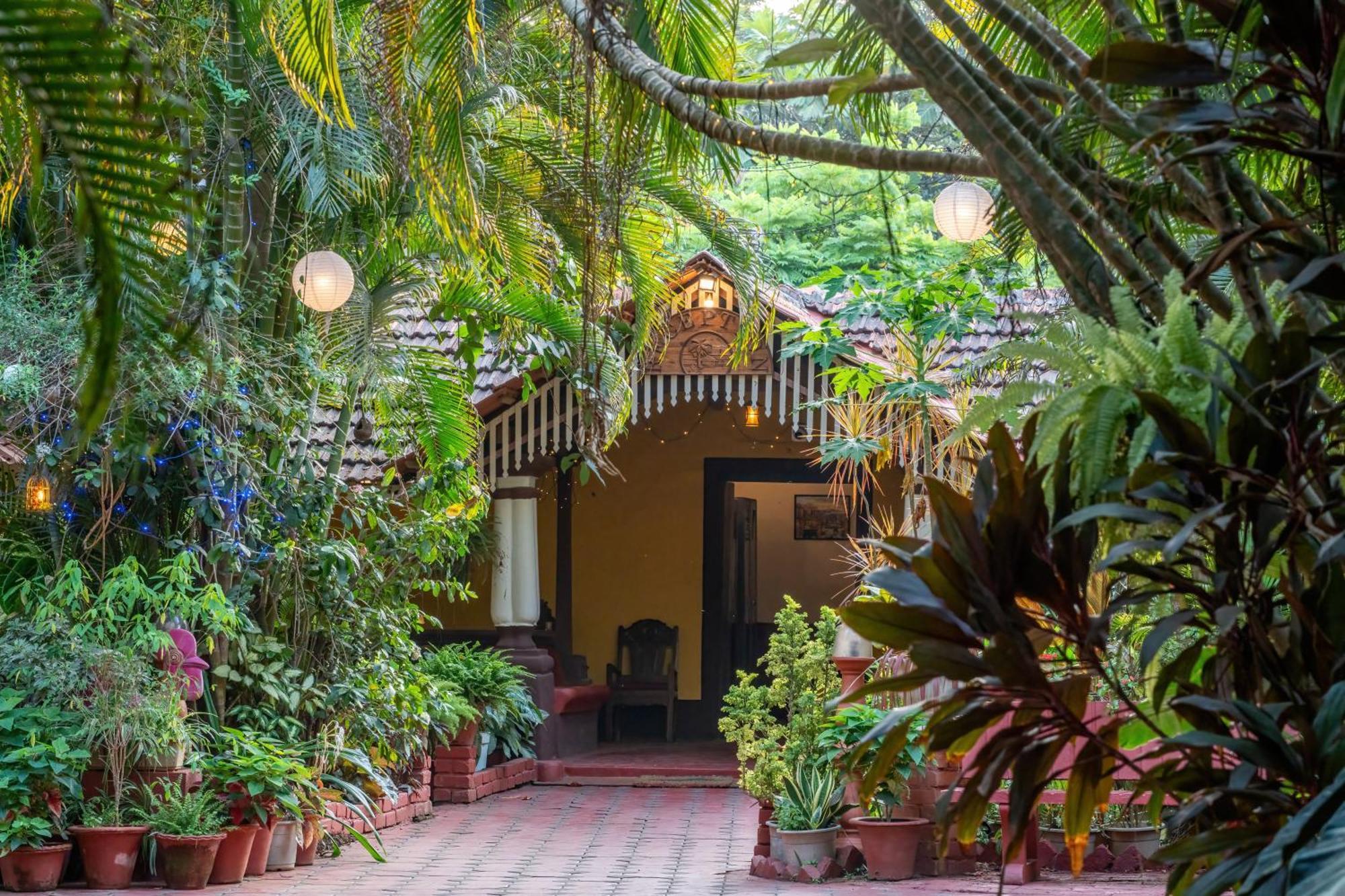 Palm Grove Cottages - Leisure Resort 比纳里姆 外观 照片