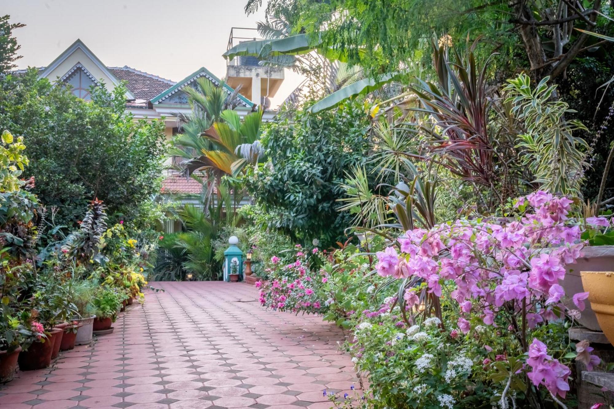 Palm Grove Cottages - Leisure Resort 比纳里姆 外观 照片