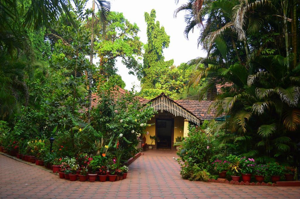 Palm Grove Cottages - Leisure Resort 比纳里姆 外观 照片