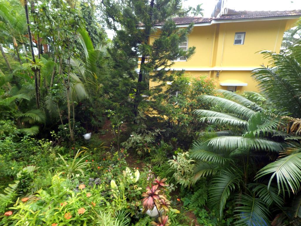 Palm Grove Cottages - Leisure Resort 比纳里姆 外观 照片