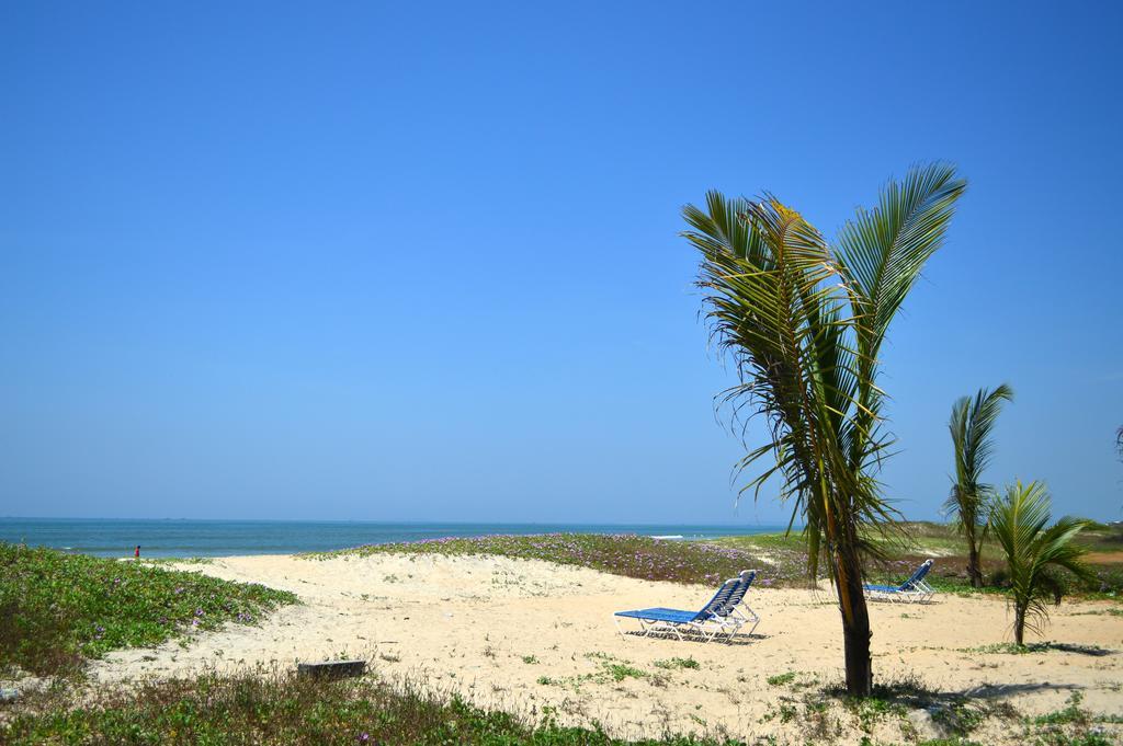 Palm Grove Cottages - Leisure Resort 比纳里姆 外观 照片