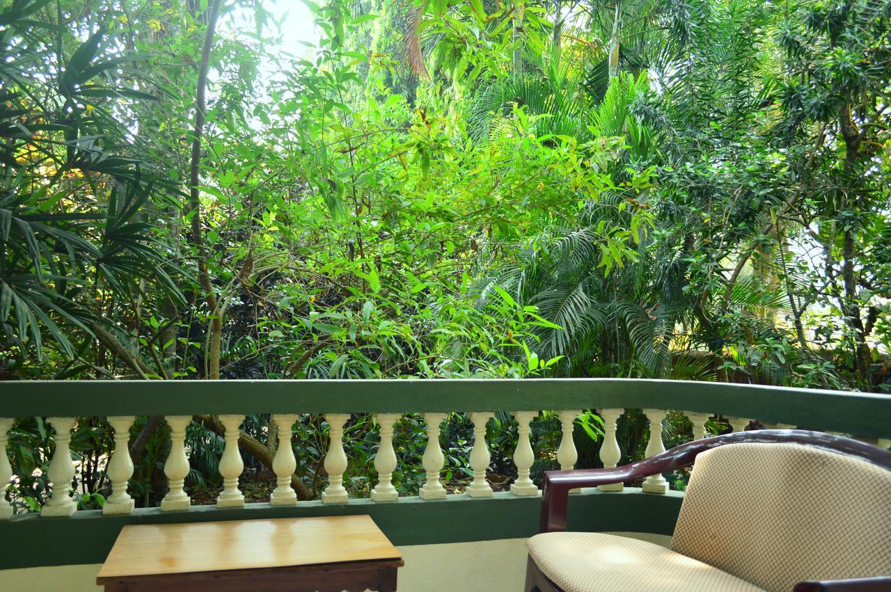 Palm Grove Cottages - Leisure Resort 比纳里姆 外观 照片
