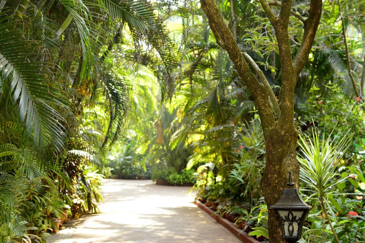 Palm Grove Cottages - Leisure Resort 比纳里姆 外观 照片