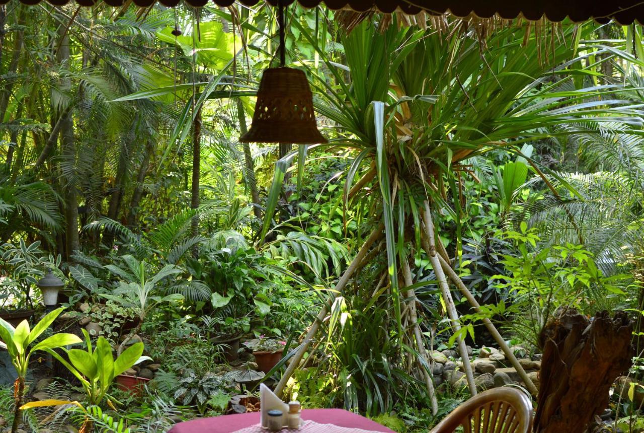 Palm Grove Cottages - Leisure Resort 比纳里姆 外观 照片