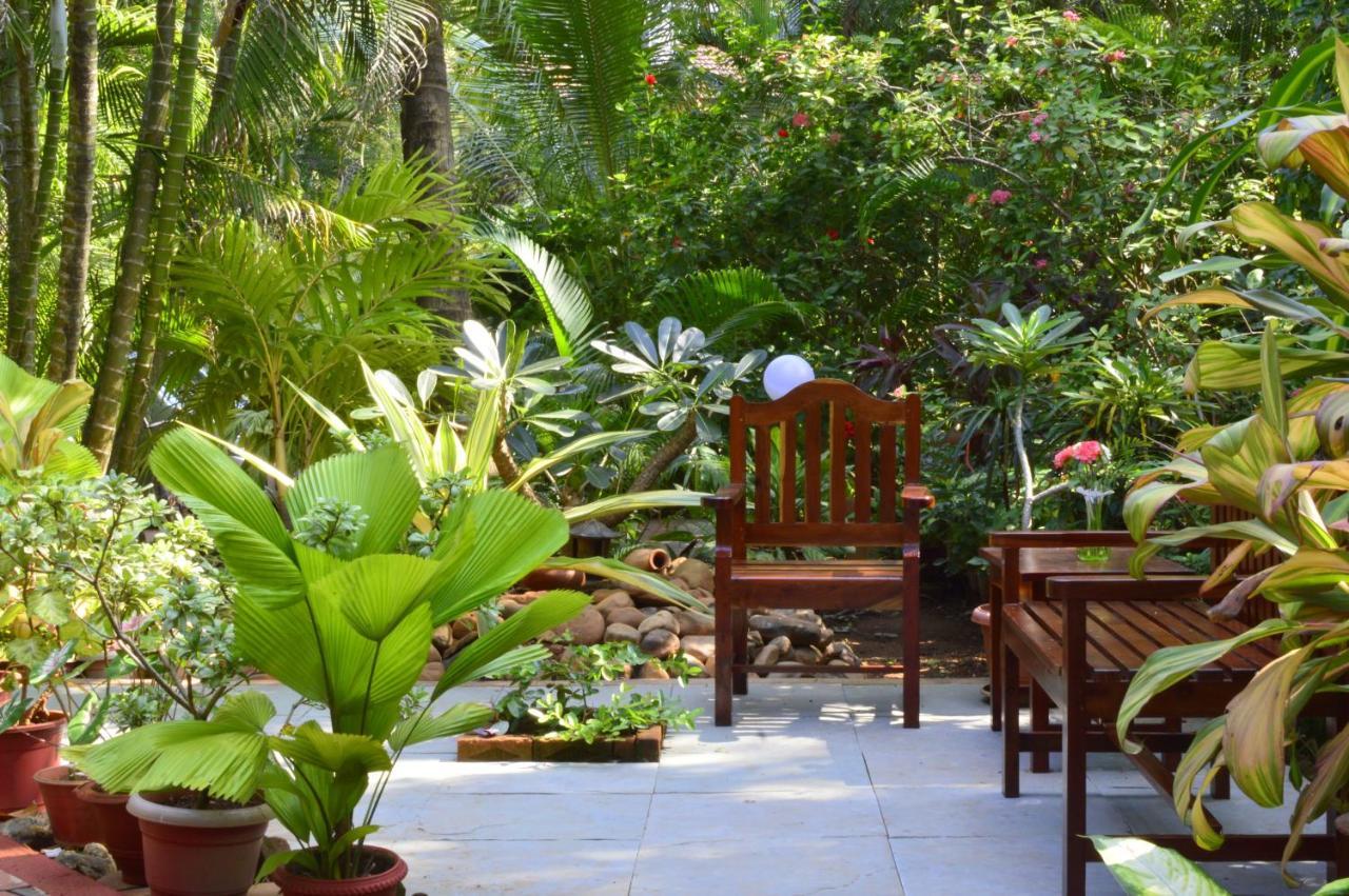 Palm Grove Cottages - Leisure Resort 比纳里姆 外观 照片