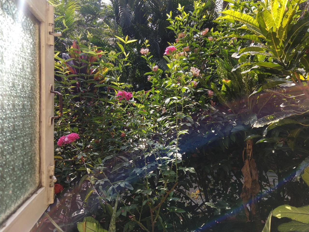 Palm Grove Cottages - Leisure Resort 比纳里姆 外观 照片