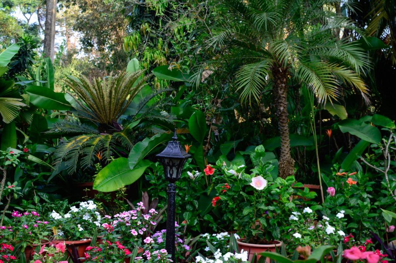 Palm Grove Cottages - Leisure Resort 比纳里姆 外观 照片